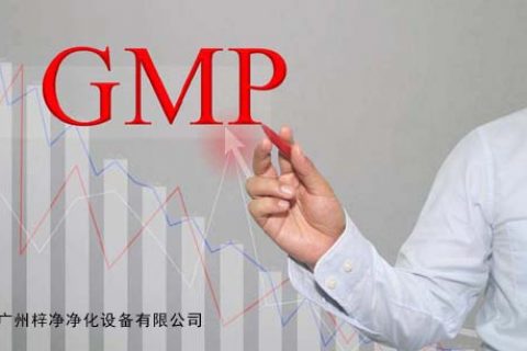 药品生产质量管理规范GMP的类型
